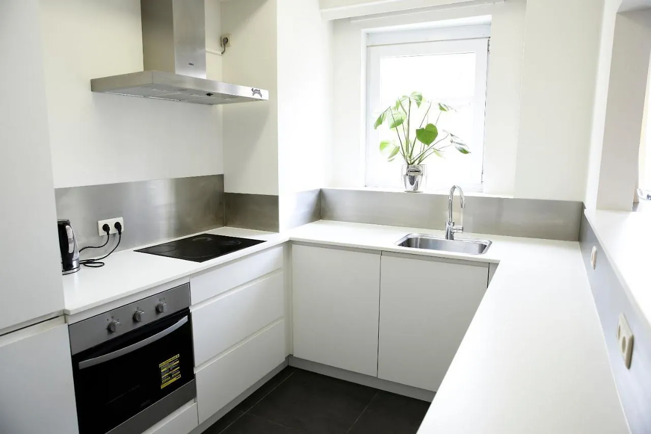 The Grand Apartment. Center Of Antwerpen Appartement